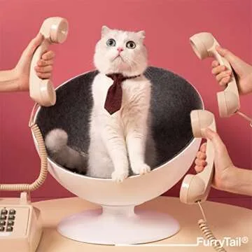 Furrytail BOSS Elevated Cat Bed with 360-degree Rotation System and Removable Easy Clean Fabrics Lining, Premium Bowl Shape Design, Raised Cat Sofa Chair,Round pet Bed for Indoor cat