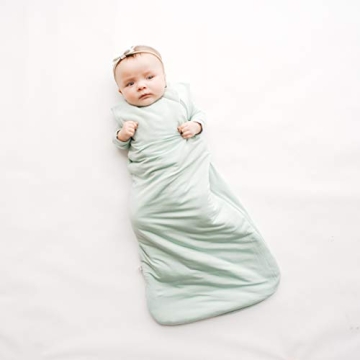Kyte Baby 2.5 Tog Sleep Bag for Babies and Toddlers