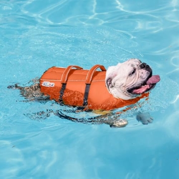 Outward Hound Granby Splash Dog Life Jacket for Safety
