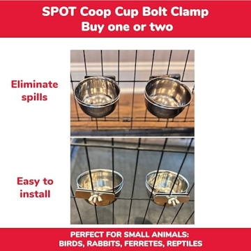 Durable SPOT Ethical Pet Stainless Steel Coop Cup