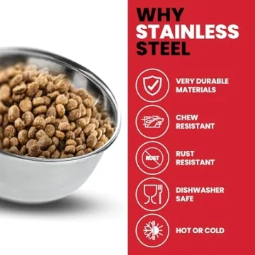 Durable SPOT Ethical Pet Stainless Steel Coop Cup