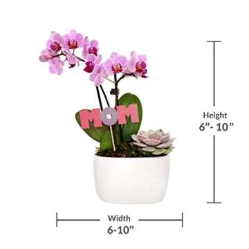 Elegant Mother’s Day Flower Planter with Pink Orchid