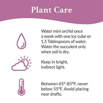 Elegant Mother’s Day Flower Planter with Pink Orchid