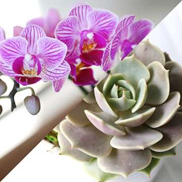 Elegant Mother’s Day Flower Planter with Pink Orchid