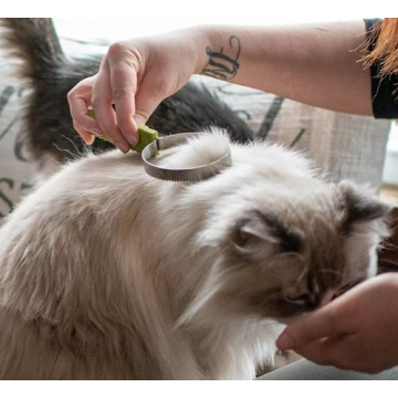 Coastal Pet Stainless Steel Cat Shedding Blade for Grooming