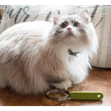 Coastal Pet Stainless Steel Cat Shedding Blade for Grooming