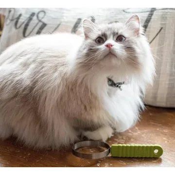 Coastal Pet Stainless Steel Cat Shedding Blade for Grooming