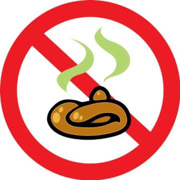 The Dog Poo Song - A Fun and Engaging Musical for Pet Lovers