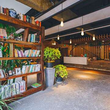 LANGREE Vintage LED Edison Bulb, 6W, Equivalent 60W, Soft White 2700k, Non-Dimmable Led Filament Light Bulb, E26 Base, High CRI 95+ Eye Protection, Clear Glass for Home Kitchen, Pack of 5