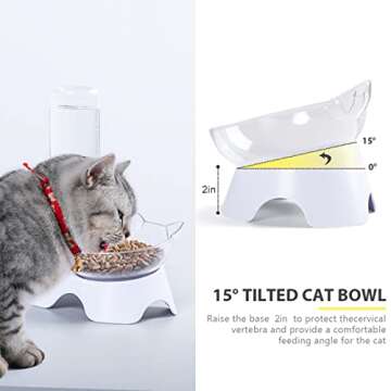 MILIFUN Double Dog Cat Bowls - Pets Water and Food Bowl Set, 15°Tilted Water and Food Bowl Set with...