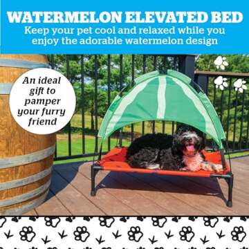 BigMouth Inc Elevated Canopy Bed for Dogs, Raised Outdoor or Indoor Pet Cot - Watermelon, Large Size