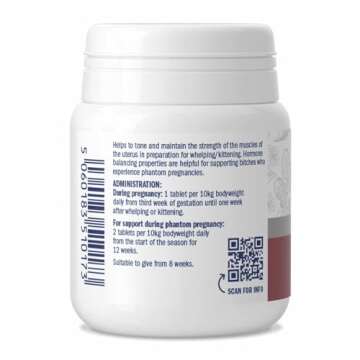 Dorwest Herbs Raspberry Leaf Tablets for Dogs and Cats 100 Tablets