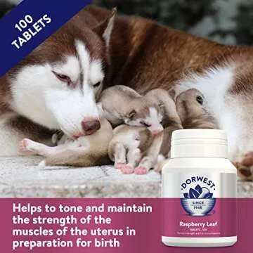 Dorwest Herbs Raspberry Leaf Tablets for Dogs and Cats 100 Tablets