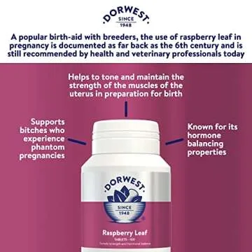 Dorwest Herbs Raspberry Leaf Tablets for Dogs and Cats 100 Tablets