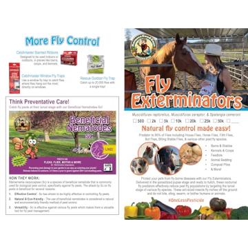 50,000 Fly Exterminators Safe Effective Pest Control USA