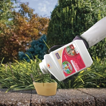 Effective Organic Insecticide - Captain Jack's Deadbug Brew 16 oz