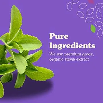 NuNaturals Stevia Syrup, Sugar-Free Sweetener, Plant-Based Sugar Substitute, Zero Calorie, Sugar-Free Syrup, Pumpkin Spice, 16 oz