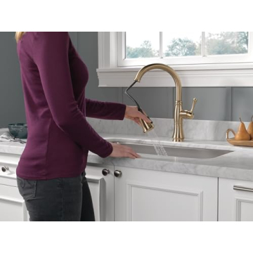 Stunning Cassidy Kitchen Faucet in Champagne Bronze