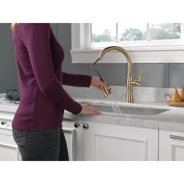 Stunning Cassidy Kitchen Faucet in Champagne Bronze
