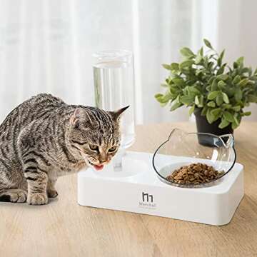 Marchul Tilted Cat Bowl Set for Food and Water, Food Feeding Raised Dishes for Puppies