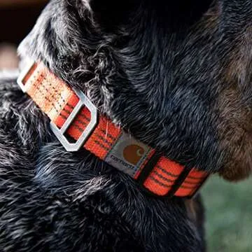 Carhartt Durable Dog Collar with Reflective Stitching