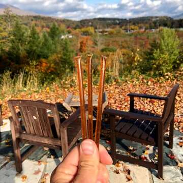 Wildflower Honey Sticks for Tea, Travel & Snacks - Premium Grade Pure Honey Packets are Farm Fresh from US Beekeepers - Each Honey Straw is full of Flavor that You'll Love - A Great Gift Idea (50)