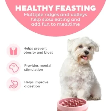 Outward Hound Fun Feeder Slo Bowl for Small Breeds