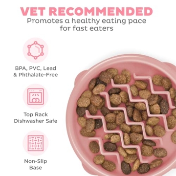 Outward Hound Fun Feeder Slo Bowl for Small Breeds