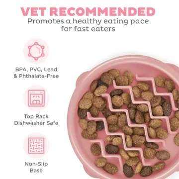 Outward Hound Fun Feeder Slo Bowl for Small Breeds