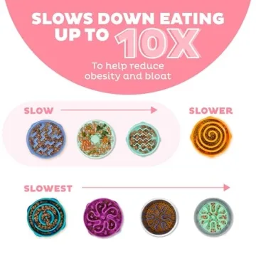 Outward Hound Fun Feeder Slo Bowl for Small Breeds