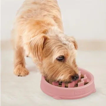 Outward Hound Fun Feeder Slo Bowl for Small Breeds