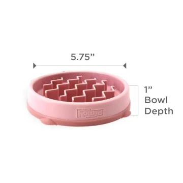Outward Hound Fun Feeder Slo Bowl for Small Breeds