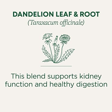 Organic Dandelion Tea for Kidney Health & Digestion