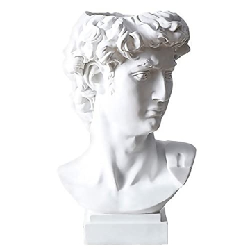 fazhongfa Greek Statue of David Bust Resin Sculpture for Roman Bookshelf Tabletop Office Home Decor ...