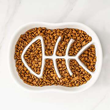 Slow Feeder Cat Bowl for Healthy Eating - Fun Design