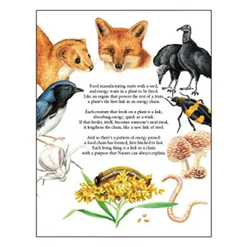 Pass the Energy, Please! Fun Rhyming Book on Food Chains