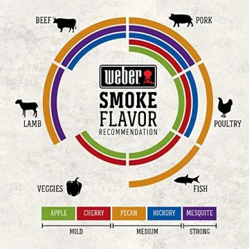 Weber 18-Inch Smokey Mountain Cooker Black Charcoal Smoker