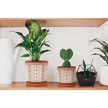 D'vine Dev Set of 2 Terracotta Pots, 4 Inch & 6 Inch, Planter Pots for Plants with Drainage Holes and Saucers, Terracotta/White, Small, 31-958-A-1