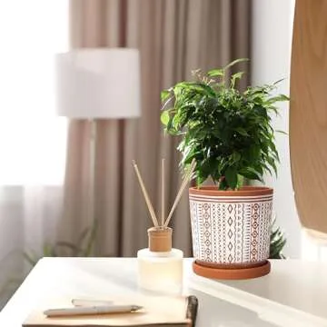 D'vine Dev Set of 2 Terracotta Pots, 4 Inch & 6 Inch, Planter Pots for Plants with Drainage Holes and Saucers, Terracotta/White, Small, 31-958-A-1