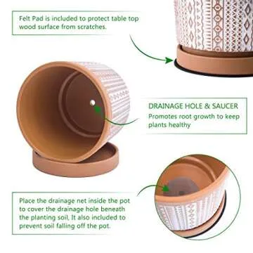 D'vine Dev Set of 2 Terracotta Pots, 4 Inch & 6 Inch, Planter Pots for Plants with Drainage Holes and Saucers, Terracotta/White, Small, 31-958-A-1