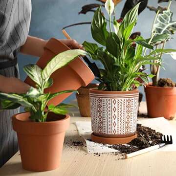 D'vine Dev Set of 2 Terracotta Pots, 4 Inch & 6 Inch, Planter Pots for Plants with Drainage Holes and Saucers, Terracotta/White, Small, 31-958-A-1
