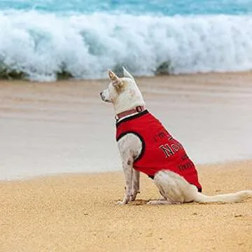 Saintrygo 8 Pieces Dog Shirts Pet Printed Clothes with Funny Letters Summer Pet T Shirts Cool Puppy Shirts Breathable Dog Outfit Soft Sweatshirt for Pet Cats(Classic Pattern,Small)