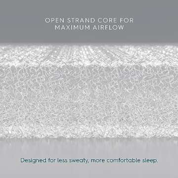 HALO DreamWeave Breathable Mesh BassiNest Mattress Replacement Pad – 100% Machine Washable Cover – Hypoallergenic, Non-Toxic Materials – 30” x 18” x 1.3”