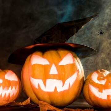 WXOIEOD Witch Hat for Woman, Halloween Wicked Witch Hats Black Large Wide Brim Pleated Fancy Witches Hat for Adult Costume Party Accessory with Spider Decorations