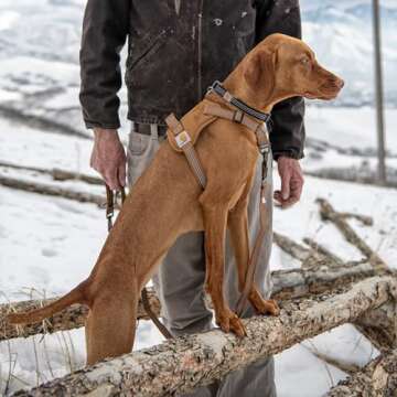 Carhartt Nylon Duck No Pull Dog Harness, Fully Adjustable Dog Harness with Quick Control Handle and Reflective Accents, Carhartt Brown, X-Large