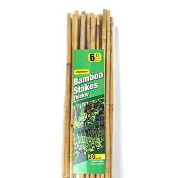Jollybower 20pcs 5/8" D Thicker Heavy Duty Bamboo Stakes, 6FT Plant Stakes, Natural Garden Stakes for Tomato, Bean, Flowers,Trees Potted and Climbing Plant Support