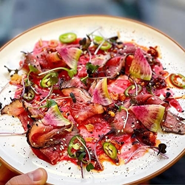 Mora Ceramic Dinner Plates Set of 6 for Mindful Dining