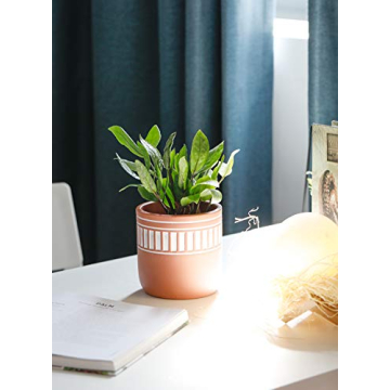 POTEY Indoor Cement Plant Pots - Modern Decorative Set