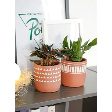POTEY Indoor Cement Plant Pots - Modern Decorative Set