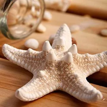 Handmade Natural Sea Star Hair Clips for Beach Lovers